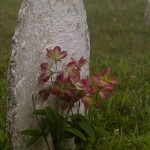 Headstone found in the cemetery at the historic Hensley Settlement.