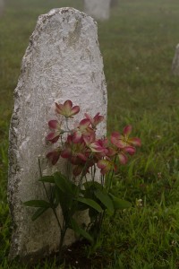 Headstone found in the cemetery at the historic Hensley Settlement.