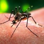 Families don't need Congress's Zika crisis