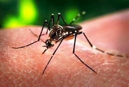 Families don't need Congress's Zika crisis
