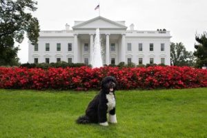 President's best friend? Not exactly. Official White House Photo by Chuck Kennedy.