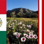 My country wrong but others right? Mexican and American flag. Coronado National Memorial. Courtesy NPS/D. Bly.