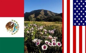 My country wrong but others right? Mexican and American flag. Coronado National Memorial. Courtesy NPS/D. Bly.