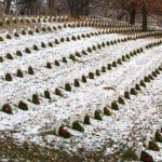 Generosity is here: Arlington National Cemetery. DOD photo by Sebastian Sciotti Jr.