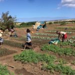 USAID fights despair in Madagascar. Christopher LaFargue/USAID.