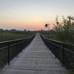 Long foot bridge