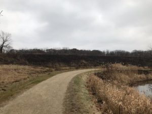 Dirt path with scorched earth background