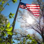 American flag waving in the breeze