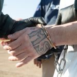 MS-13 gang member arrested