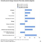 Consumer prices from July 2023-July 2024 showing rise in energy services. Bureau of Labor Statistics.