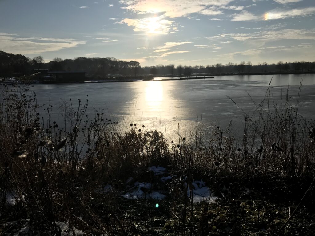 Bleak winter landscape with lake in background.