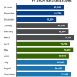 New citizens naturalized in 2024 by month.